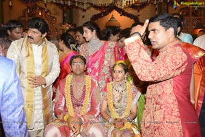 Balakrishna Daughter Tejeswini Wedding Photos