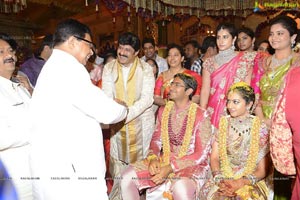 Balakrishna Daughter Tejeswini Wedding Photos