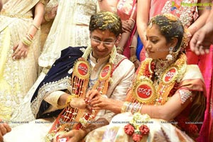 MVVS Murthy Grandson Sri Bharath Wedding Photos