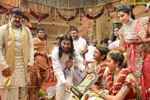 MVVS Murthy Grandson Sri Bharath Wedding Photos