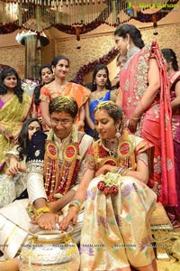 MVVS Murthy Grandson Sri Bharath Wedding Photos