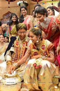 MVVS Murthy Grandson Sri Bharath Wedding Photos