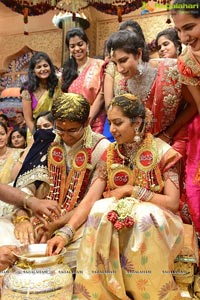 MVVS Murthy Grandson Sri Bharath Wedding Photos