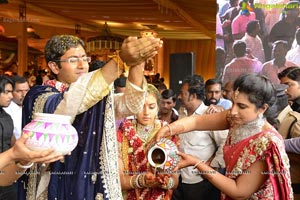 MVVS Murthy Grandson Sri Bharath Wedding Photos