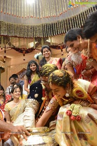 MVVS Murthy Grandson Sri Bharath Wedding Photos