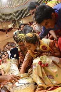 MVVS Murthy Grandson Sri Bharath Wedding Photos