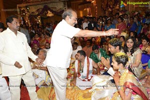 MVVS Murthy Grandson Sri Bharath Wedding Photos