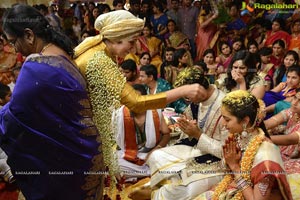 MVVS Murthy Grandson Sri Bharath Wedding Photos