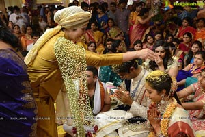MVVS Murthy Grandson Sri Bharath Wedding Photos