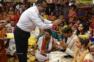 MVVS Murthy Grandson Sri Bharath Wedding Photos