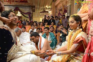 MVVS Murthy Grandson Sri Bharath Wedding Photos