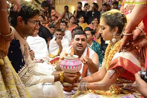 MVVS Murthy Grandson Sri Bharath Wedding Photos