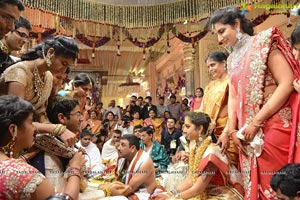 MVVS Murthy Grandson Sri Bharath Wedding Photos