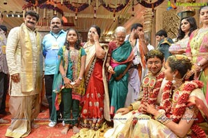 MVVS Murthy Grandson Sri Bharath Wedding Photos