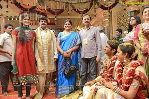 MVVS Murthy Grandson Sri Bharath Wedding Photos