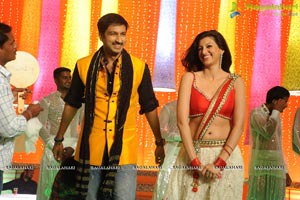 Loukyam Hamsanandini Item Song