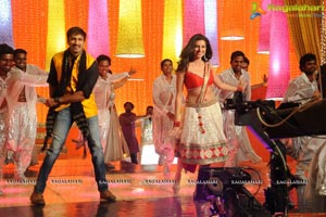 Loukyam Hamsanandini Item Song