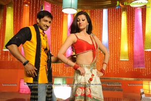 Loukyam Hamsanandini Item Song