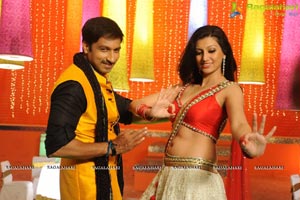 Loukyam Hamsanandini Item Song