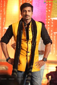 Loukyam Hamsanandini Item Song