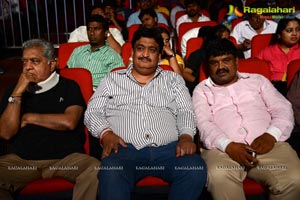 Ravi Teja Power Audio Release