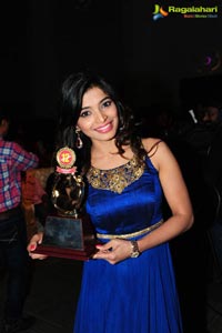 Santosham 12th Anniversary Awards 2014