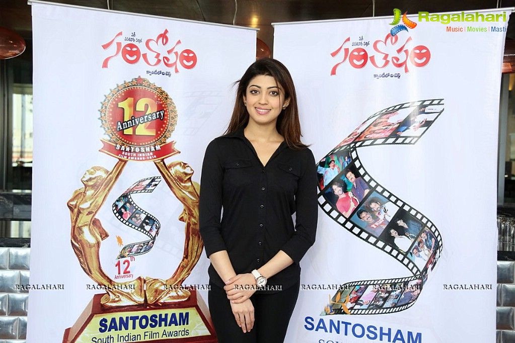 Santosham 12th Anniversary Curtain Raiser