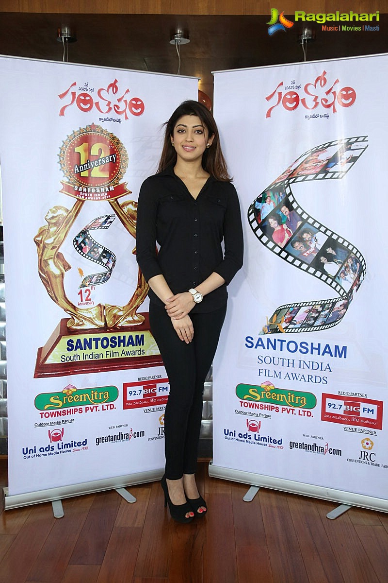 Santosham 12th Anniversary Curtain Raiser