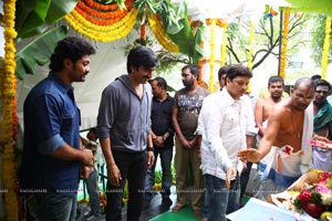 Surender Reddy Kick 2