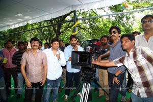 Surender Reddy Kick 2