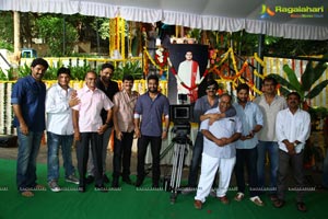 Surender Reddy Kick 2