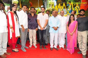 Tippu Muhurat