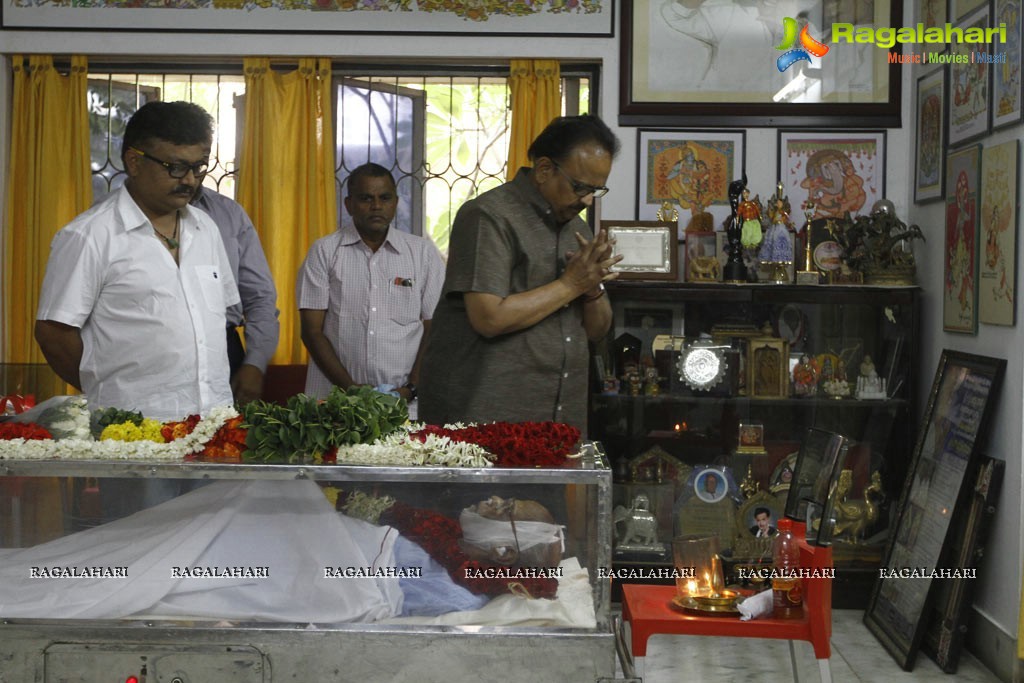 Celebs pay tributes to Bapu