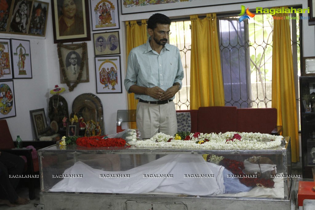 Celebs pay tributes to Bapu