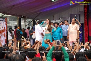 Dahi Handi