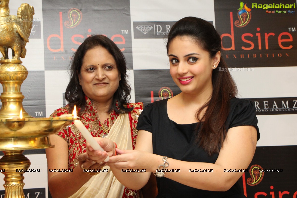 D'sire Exhibition n Sale Launch by Anita Agarwal at Taj Krishna, Hyderabad (Aug. 22, 2014)