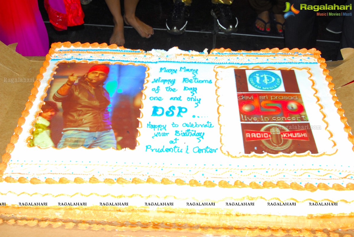 DSP NJ Concert