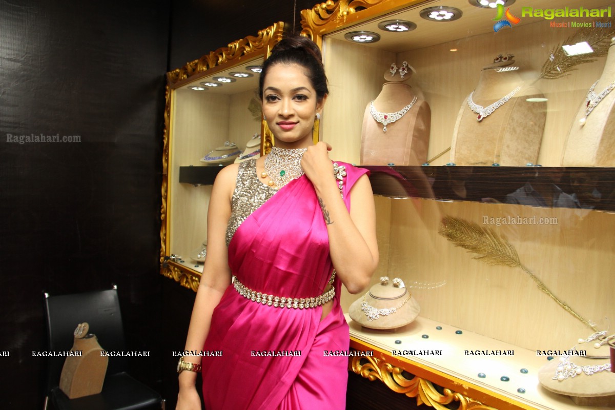 Times Gehana Exhibition 2014 at Taj Krishna, Hyderabad