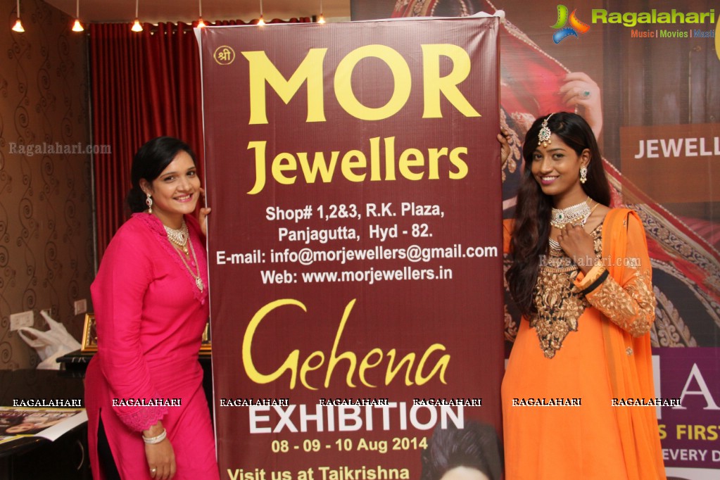 Gehana Exhibition 2014 Curtain Raiser, Hyderabad