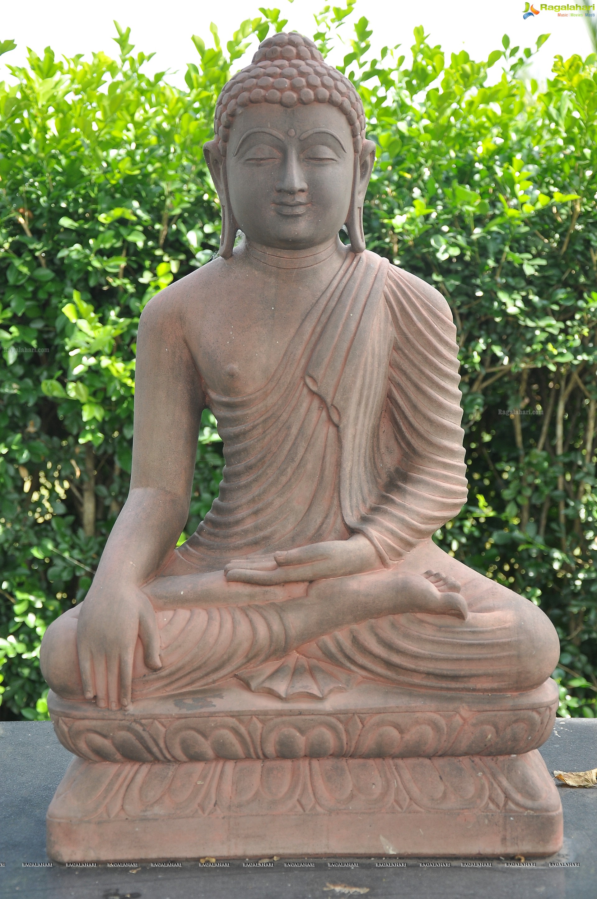 Lord Buddha Sculptures