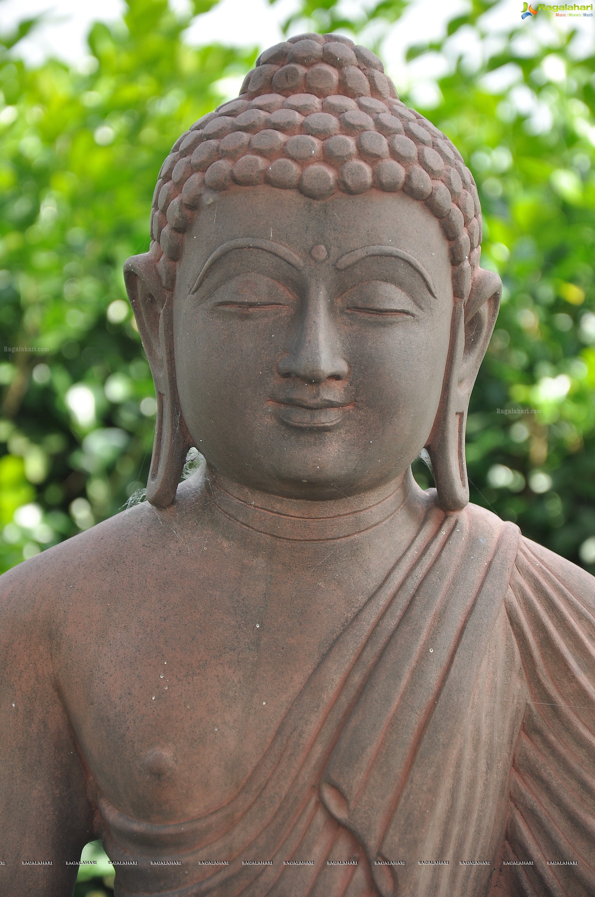 Lord Buddha Sculptures