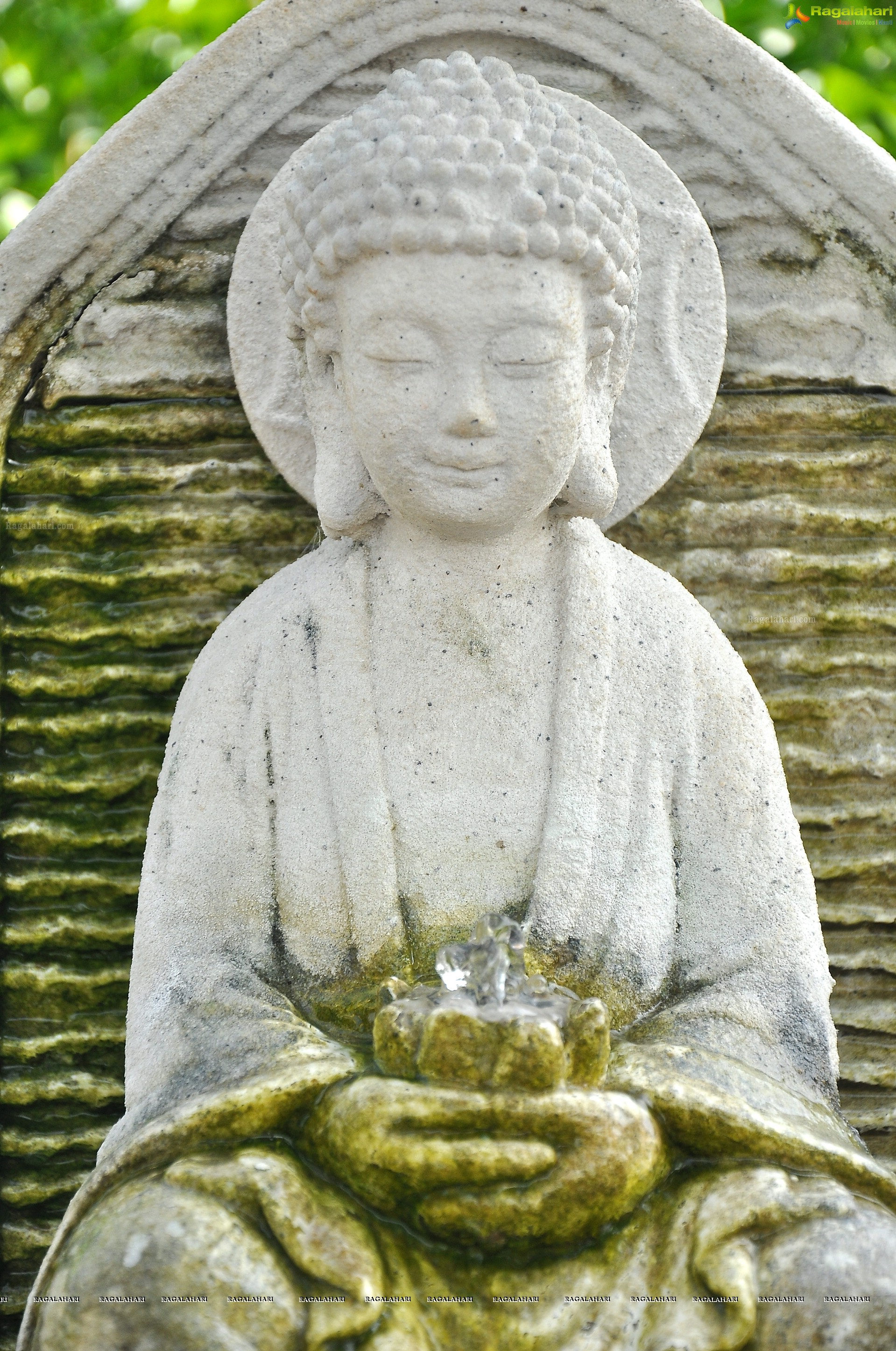 Lord Buddha Sculptures