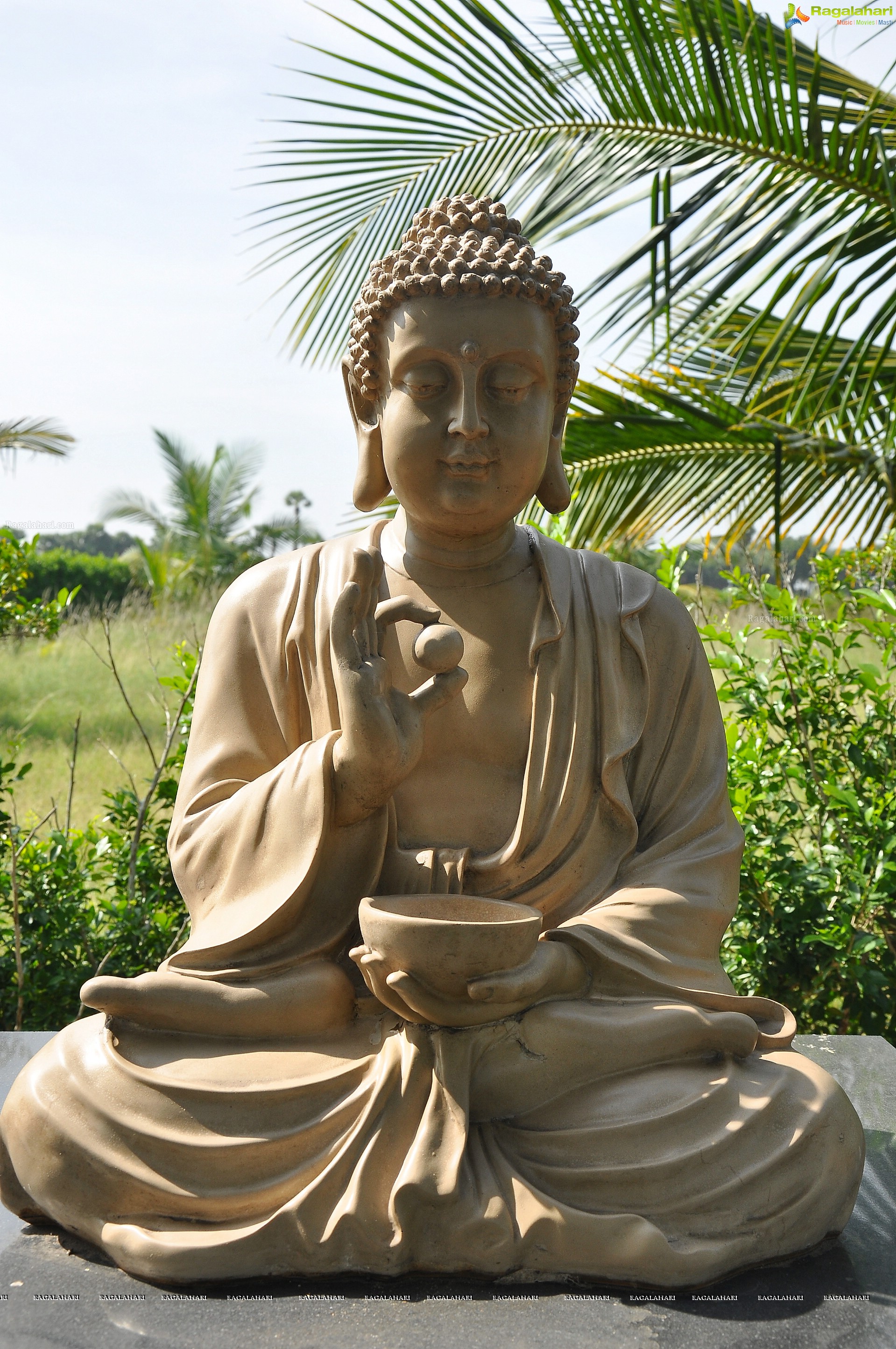 Lord Buddha Sculptures