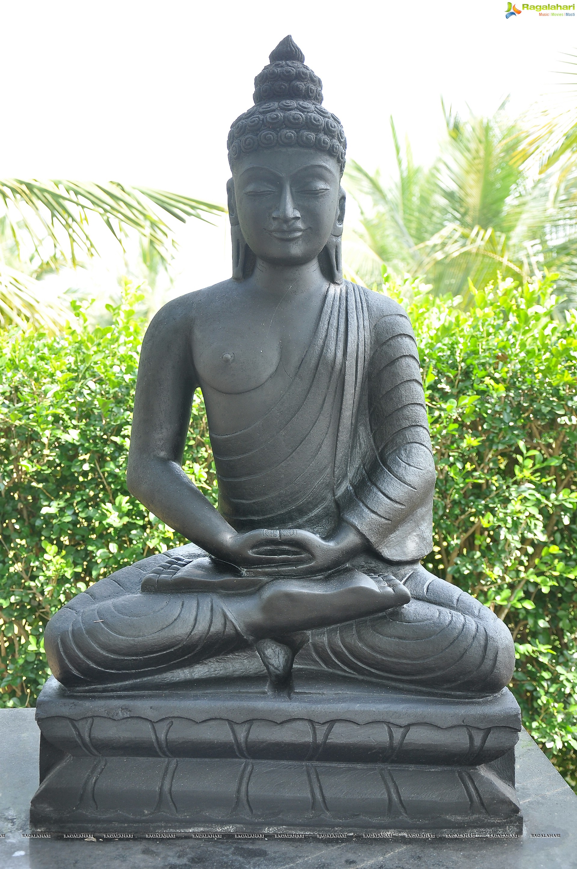 Lord Buddha Sculptures