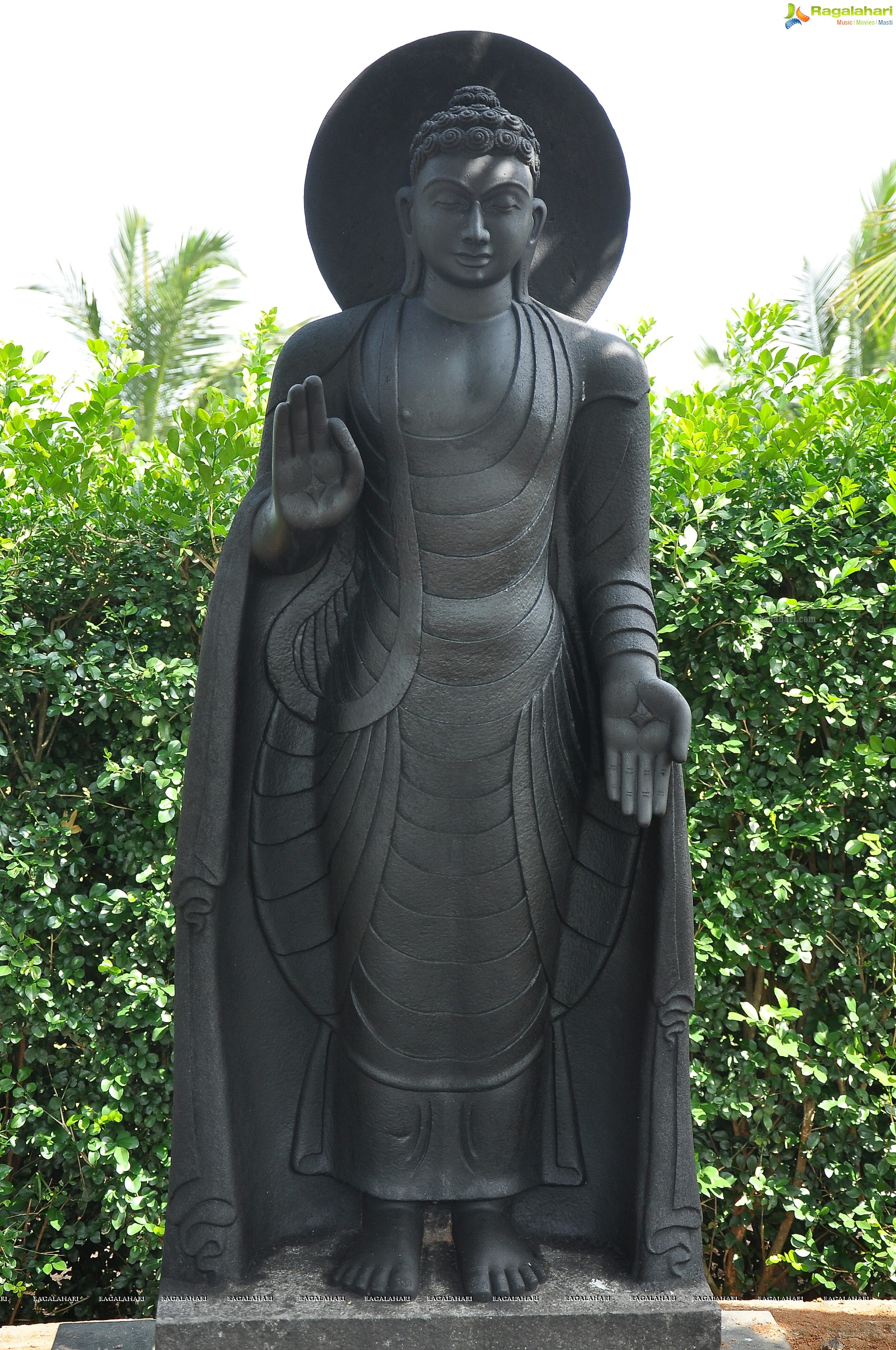 Lord Buddha Sculptures