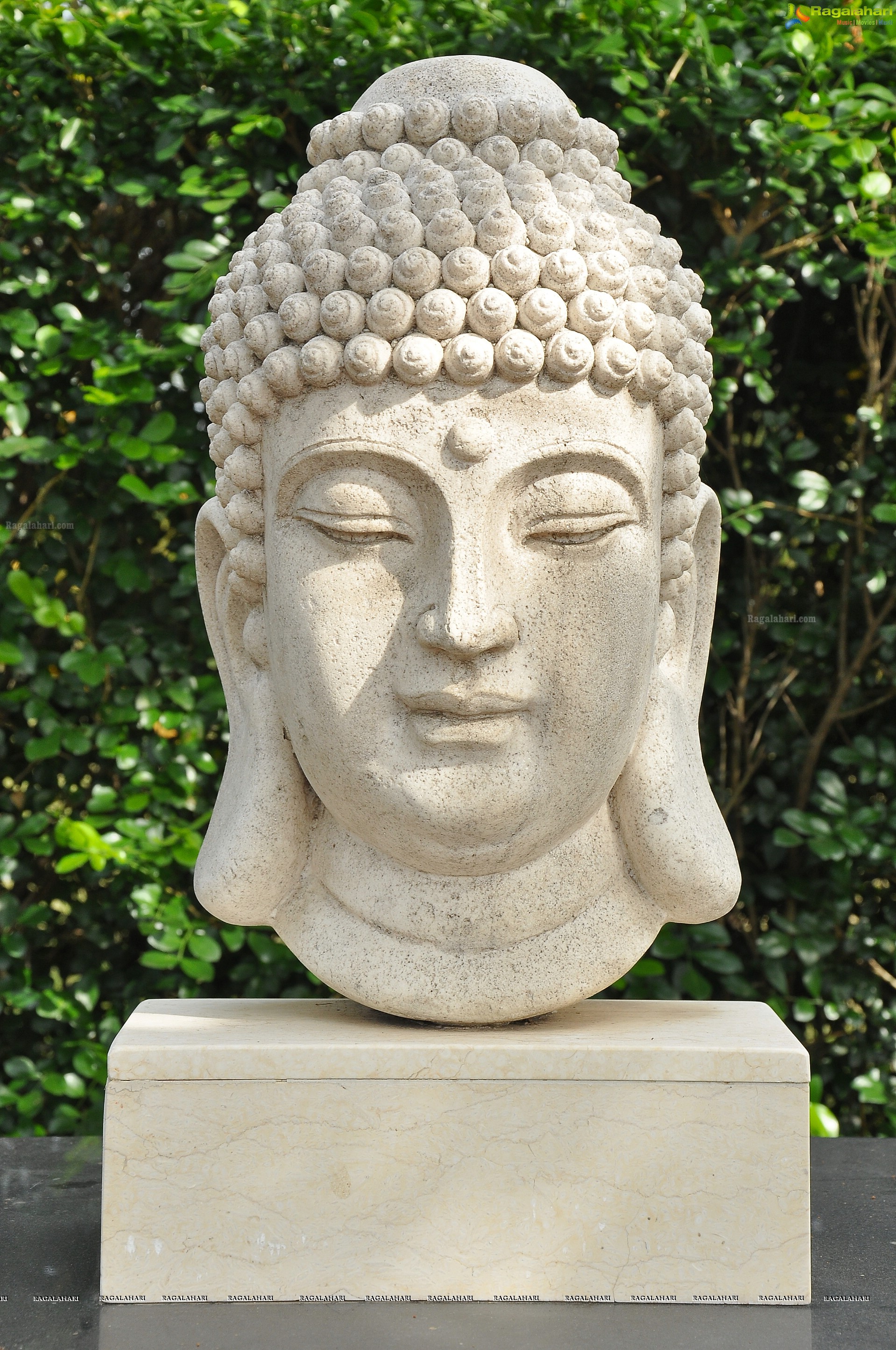 Lord Buddha Sculptures