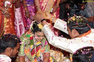 Nandamuri Wedding