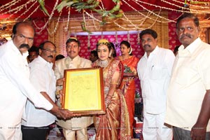 Nandamuri Wedding