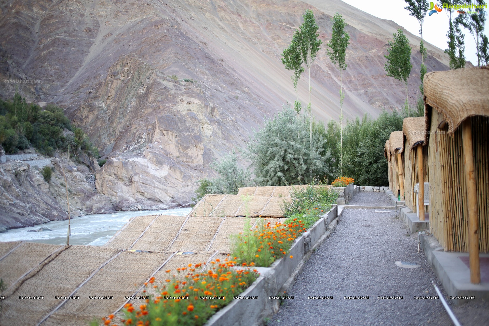 Moonland, Ladakh High Definition Photos