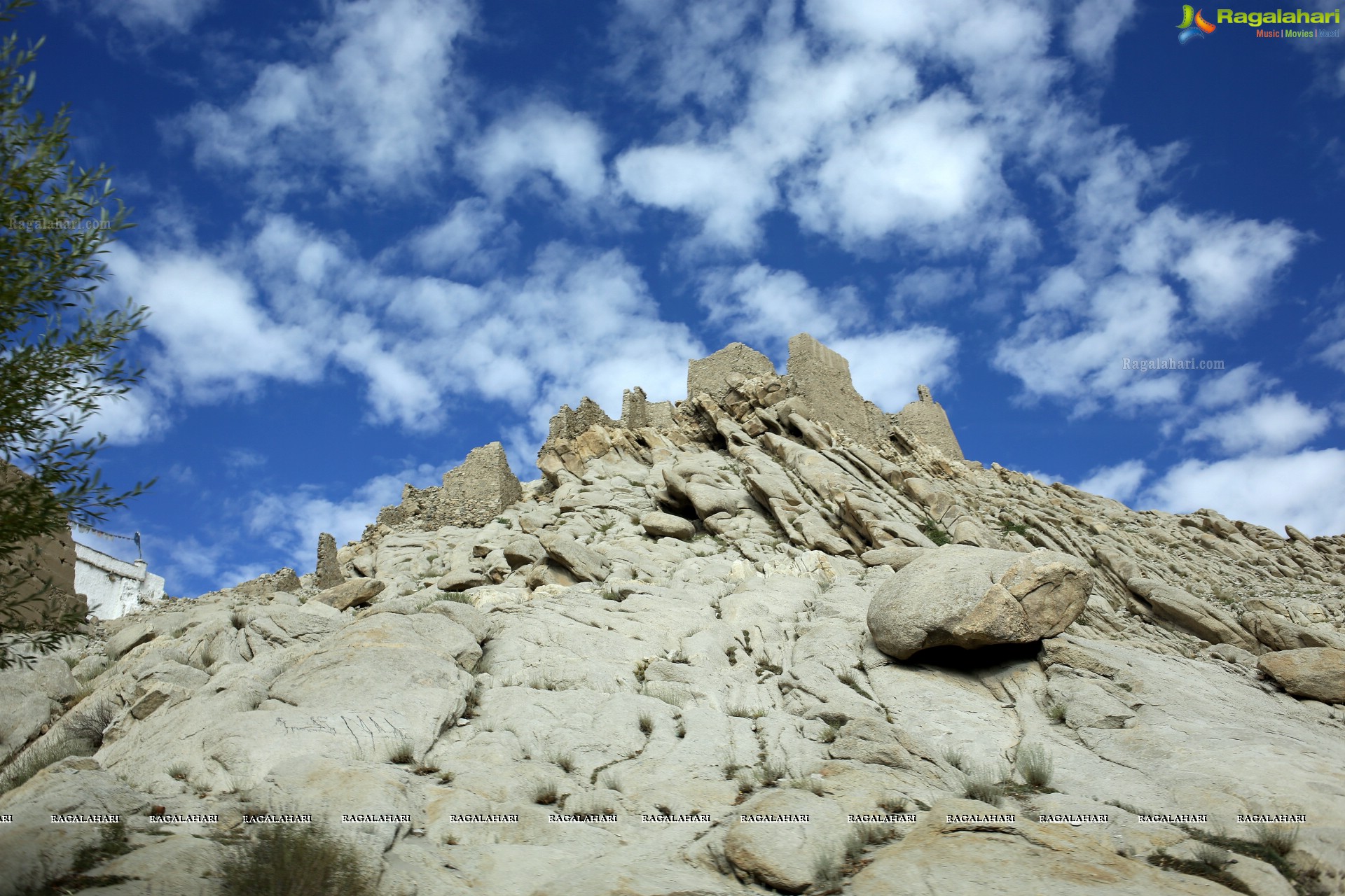 Nubra Valley High Definition Photos